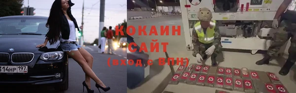 кокс Гусь-Хрустальный