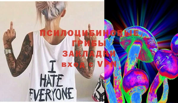 кокс Гусь-Хрустальный