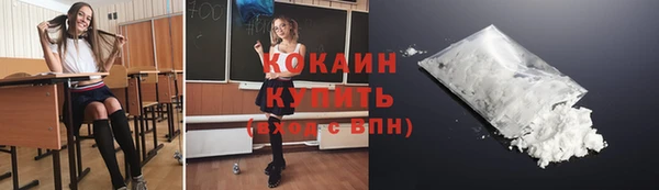 a pvp Гусев