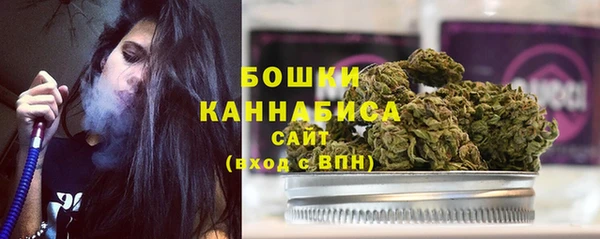 прущий лед Гусиноозёрск