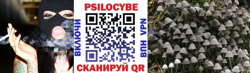 Псилоцибиновые грибы Psilocybe  Купить  Нерюнгри 